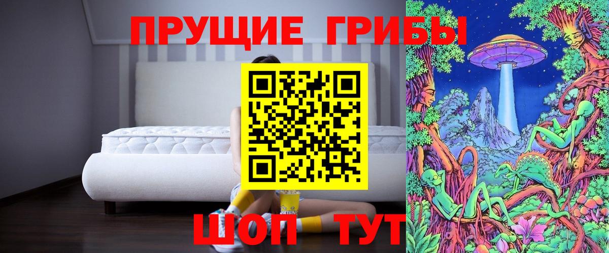 Псилоцибиновые грибы Psilocybine cubensis Ростов Великий