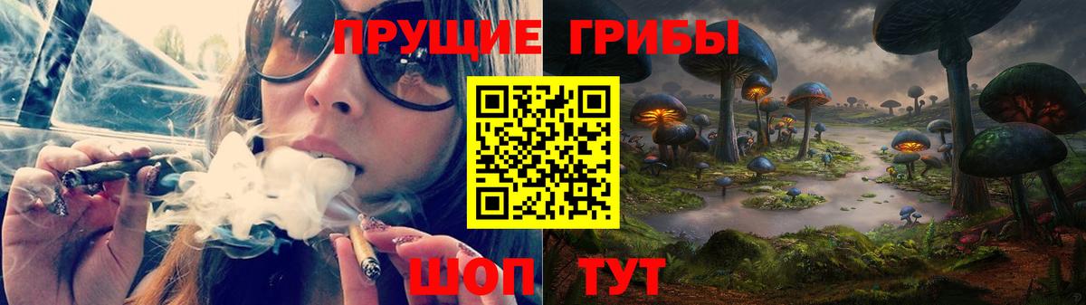Ростов Великий  Галлюциногенные грибы Psilocybe  Вход с VPN 